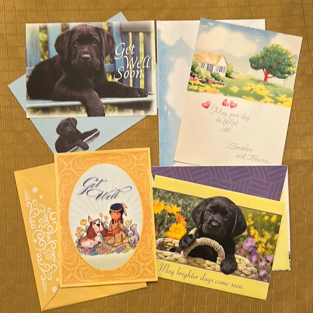 Assorted Get Well / Thinking of You / Sympathy / Blank / Anniversary c…